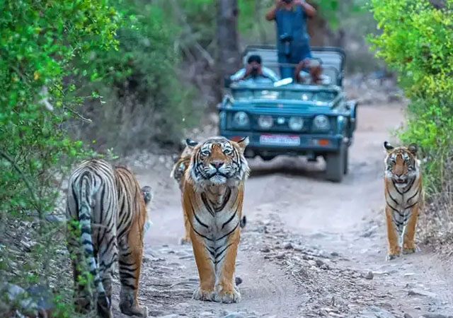7 Days Haridwar and Jim corbett